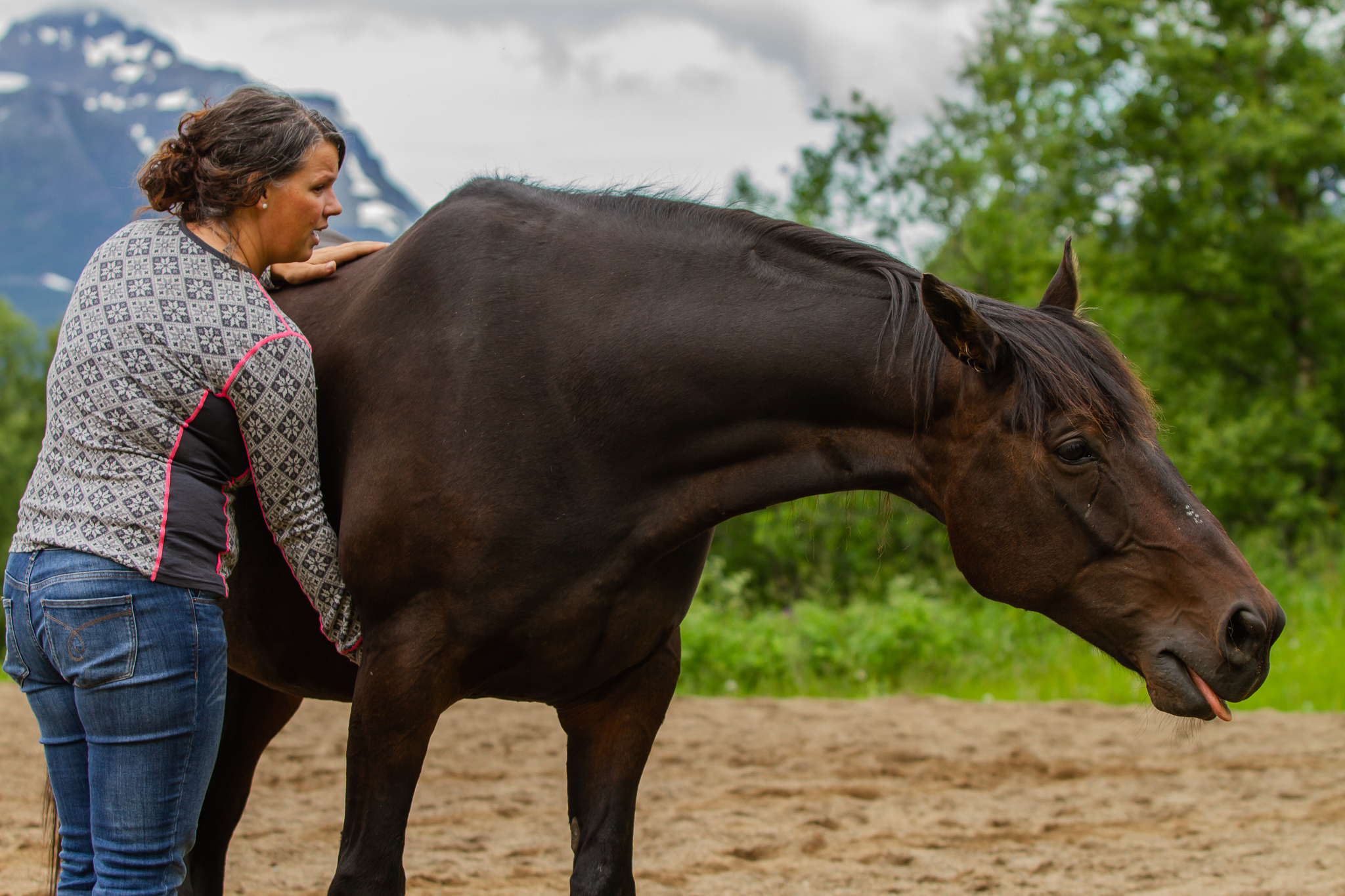 Wellness Für Dein Pferd – Online-reitschule