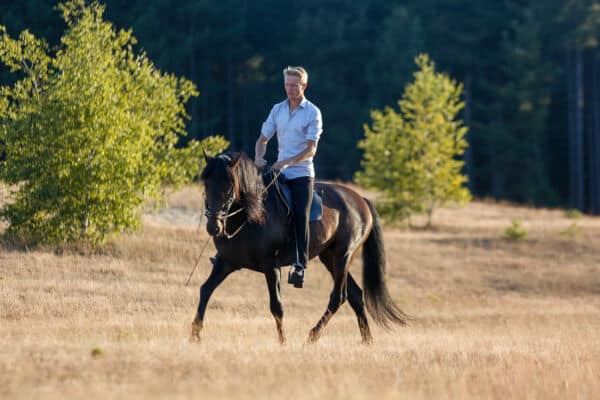 Thinking outside the box: How my stallion Lurano found correct bend despite physical challenges (Webinar replay)