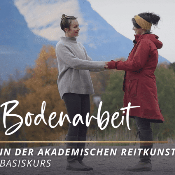Bodenarbeit in der akademischen Reitkunst