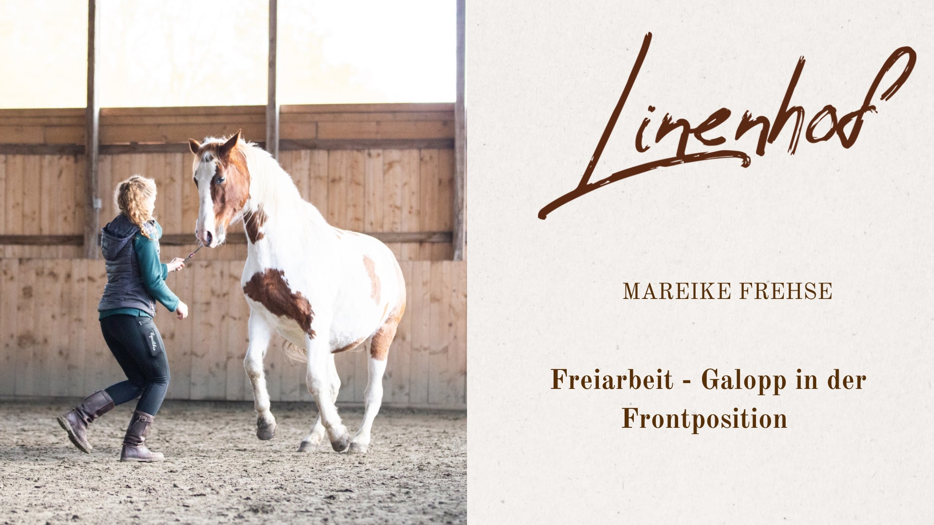 Freiarbeit – Video 7 – Galopp in der Frontposition 