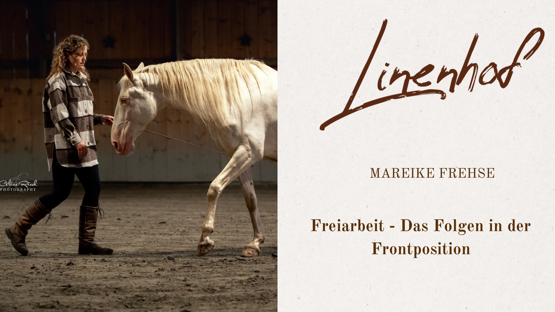 Freiarbeit – Video 2 – Das Folgen in der Frontposition 